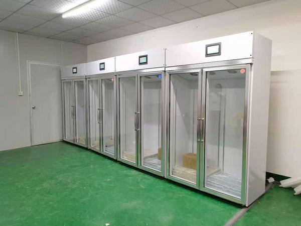 華世大帝守護：珠海館藏珍寶恒溫恒濕柜選購秘籍